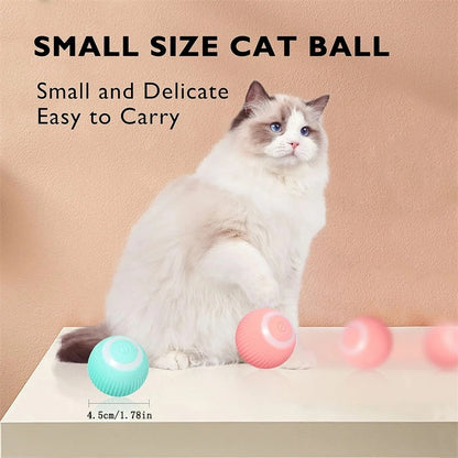 Cloudy Paws™ Bouncing Ball for Pet