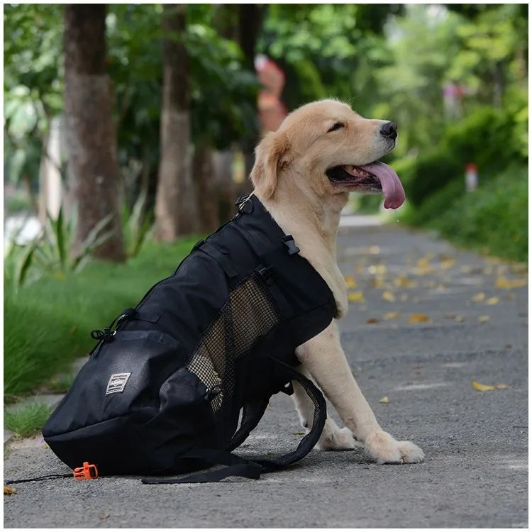 Cloudy Paws™ Travel Pet Dog Carrier