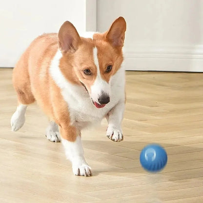 Cloudy Paws™ Bouncing Ball for Pet