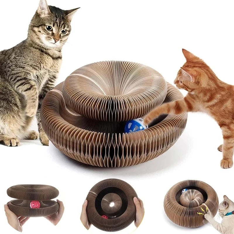 Cloudy Paws™ Carton Toy With Ball for Cat