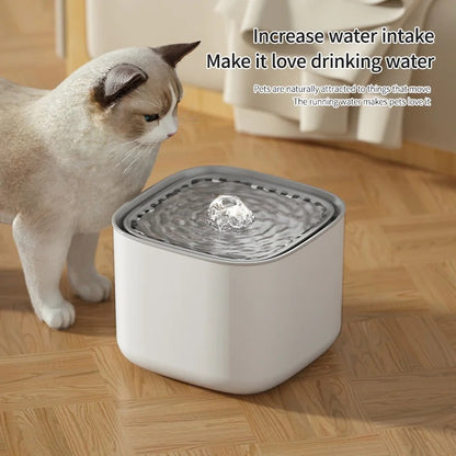 Cloudy Paws™ Water Fountain for Pets