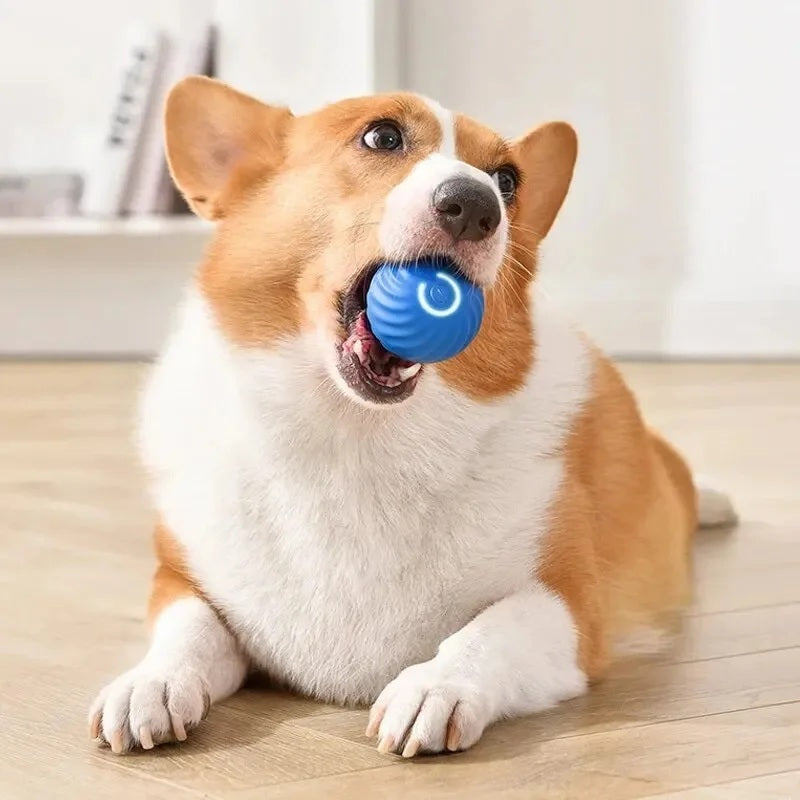 Cloudy Paws™ Bouncing Ball for Pet