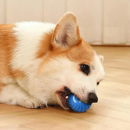 Cloudy Paws™ Bouncing Ball for Pet