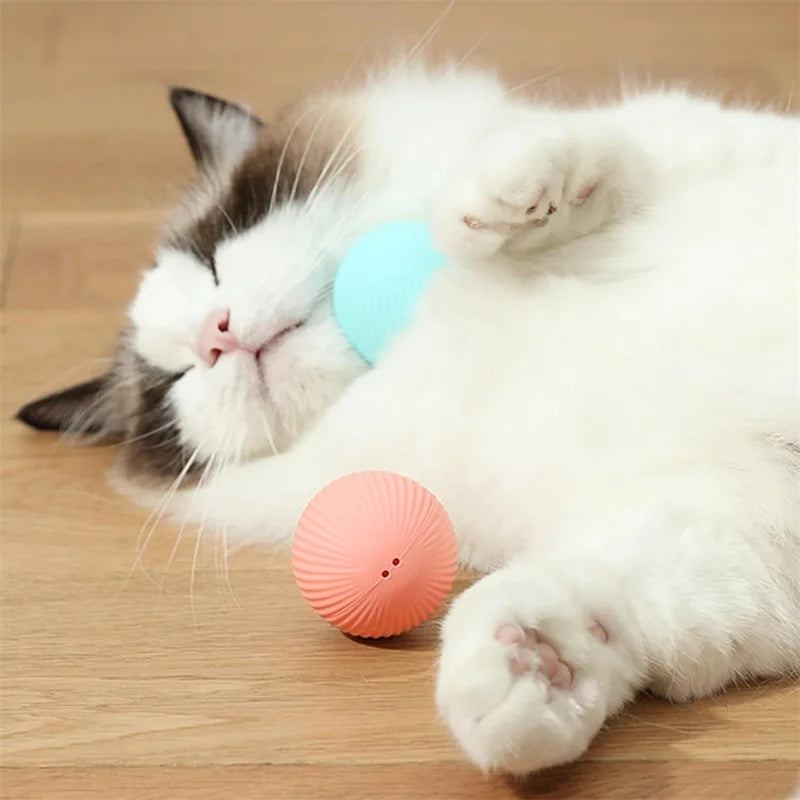 Cloudy Paws™ Bouncing Ball for Pet