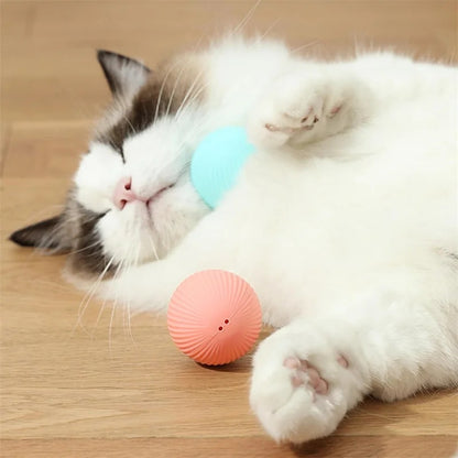 Cloudy Paws™ Bouncing Ball for Pet