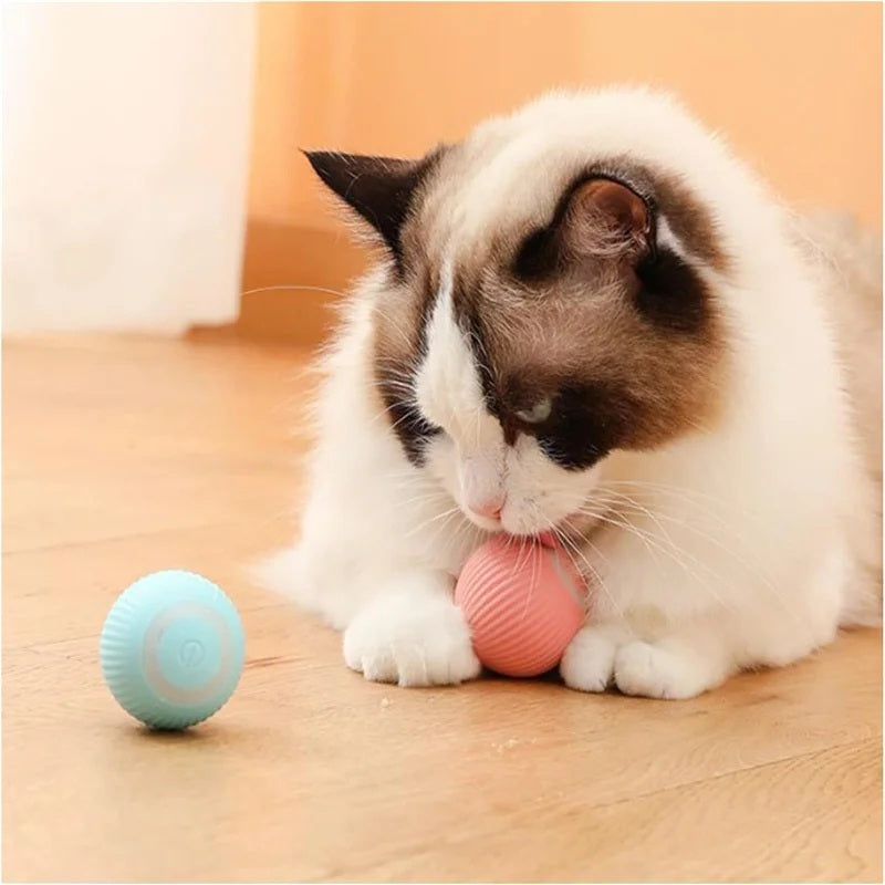 Cloudy Paws™ Bouncing Ball for Pet