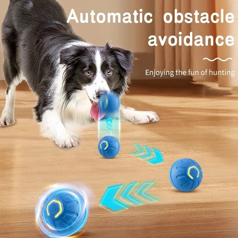 Cloudy Paws™ Bouncing Ball for Pet