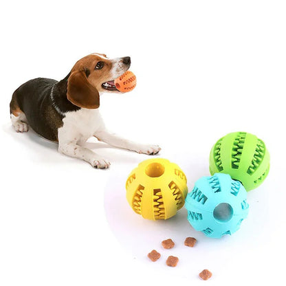 Cloudy Paws™ Interactive Elasticity Puppy Chew Toy