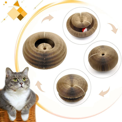 Cloudy Paws™ Carton Toy With Ball for Cat