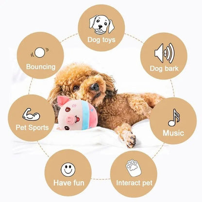 Cloudy Paws™ Bouncing Pig Interactive Toy for Pet