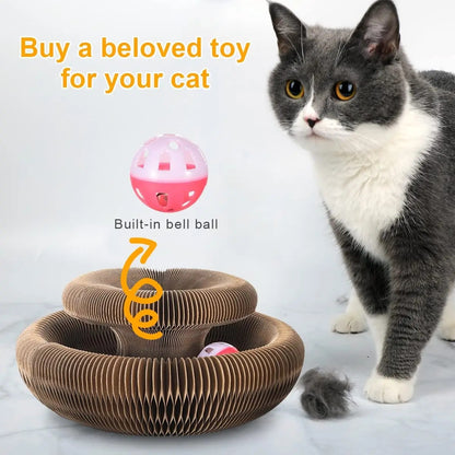 Cloudy Paws™ Carton Toy With Ball for Cat