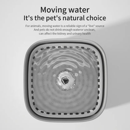 Cloudy Paws™ Water Fountain for Pets