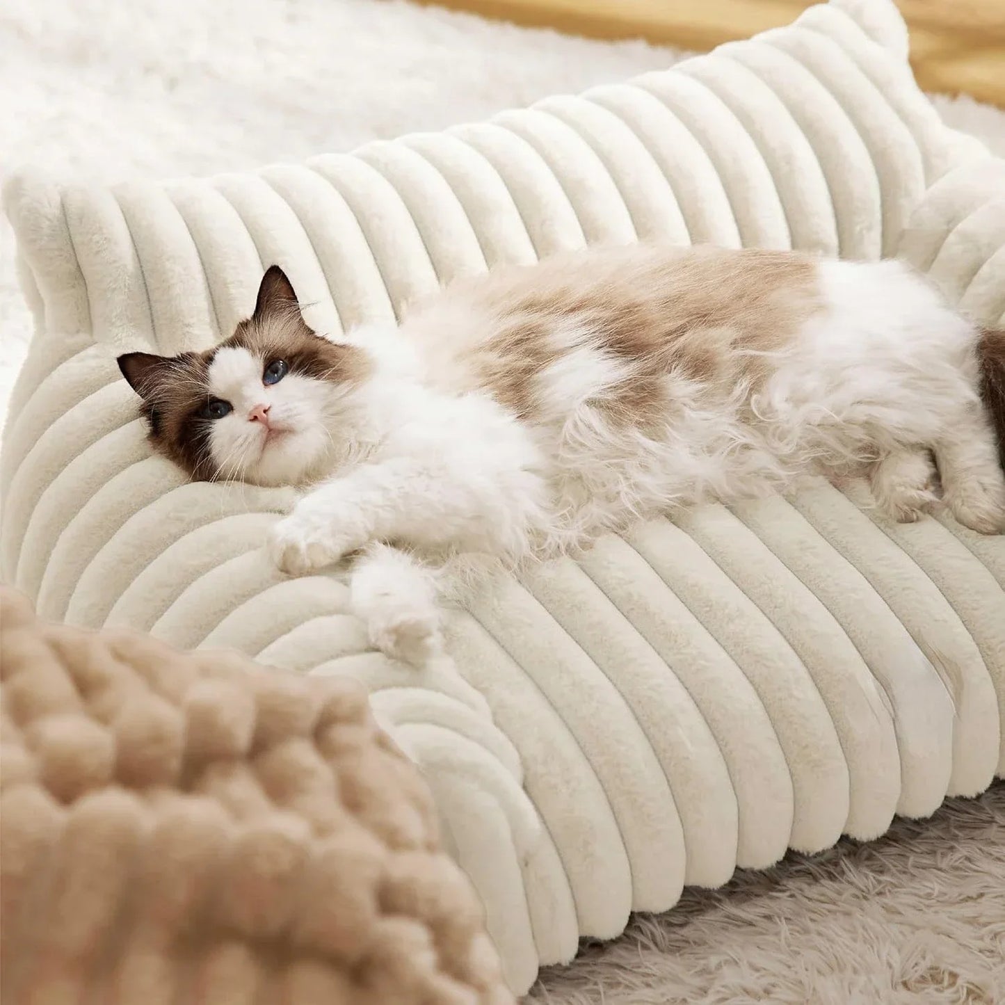 Cloudy Paws™ Luxury Cat Bed Sofa