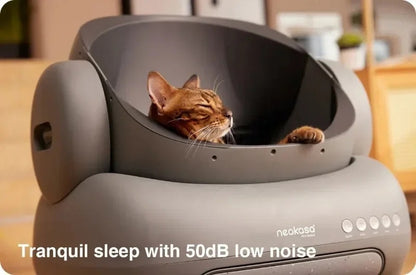 Cloudy Paws™ Self-Cleaning Cat Litter Box