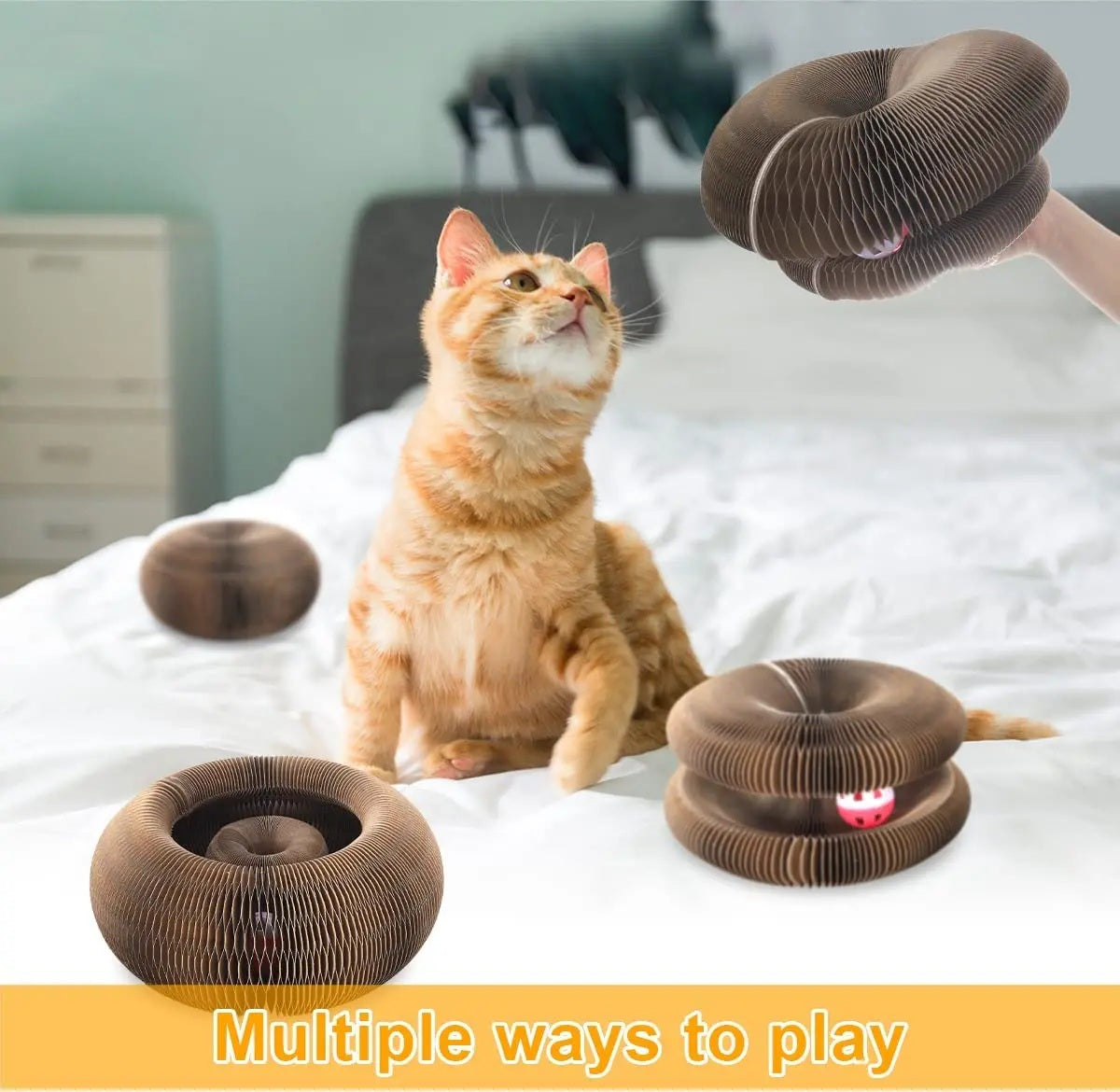 Cloudy Paws™ Carton Toy With Ball for Cat