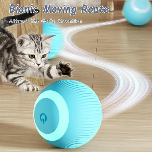 Cloudy Paws™ Bouncing Ball for Pet