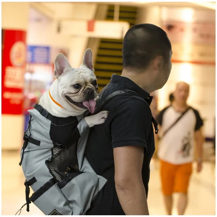 Cloudy Paws™ Travel Pet Dog Carrier