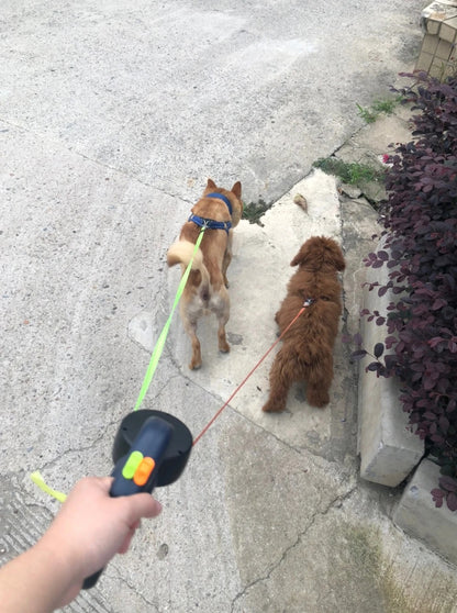 Cloudy Paws™ Dual Dog Leash